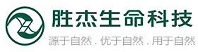 Your company Logo