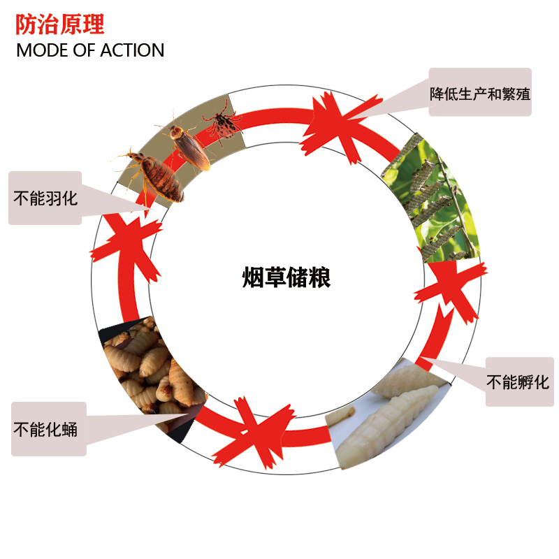 烟草储粮.png